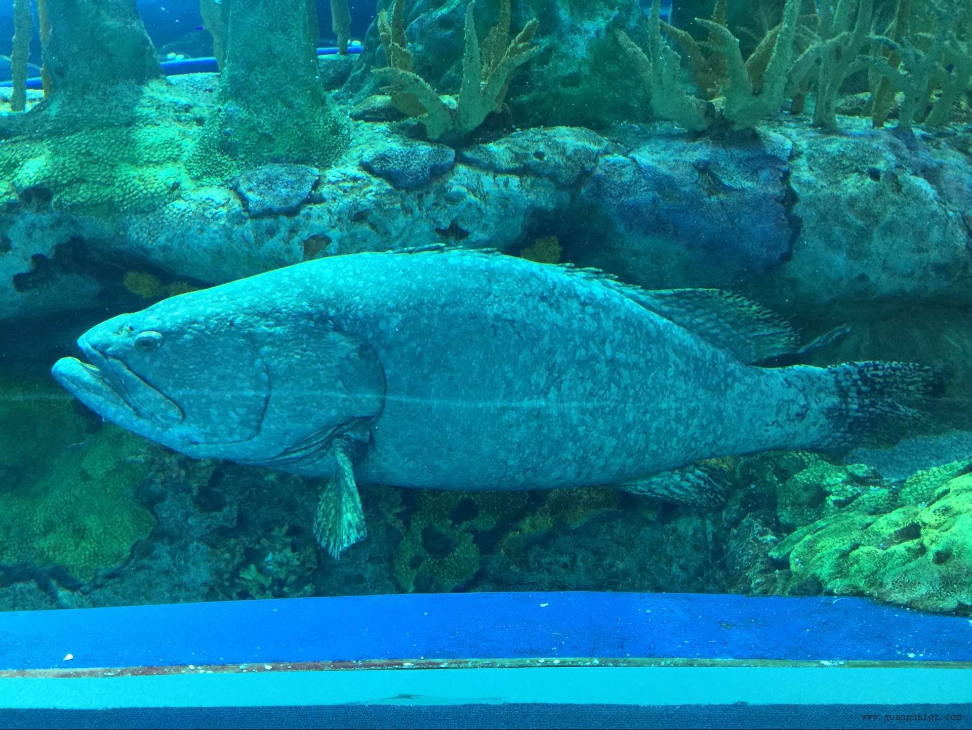 402cc永利集团(CHINA)官方网站-首页|NO1