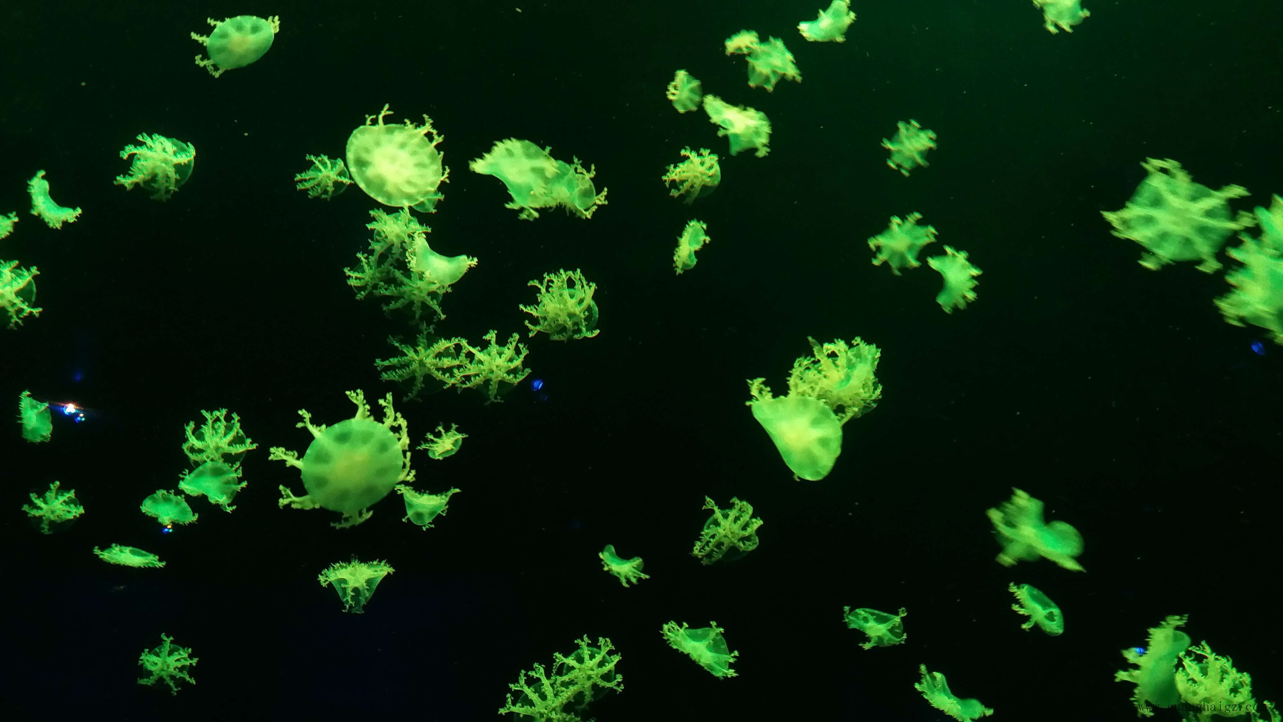 402cc永利集团(CHINA)官方网站-首页|NO1