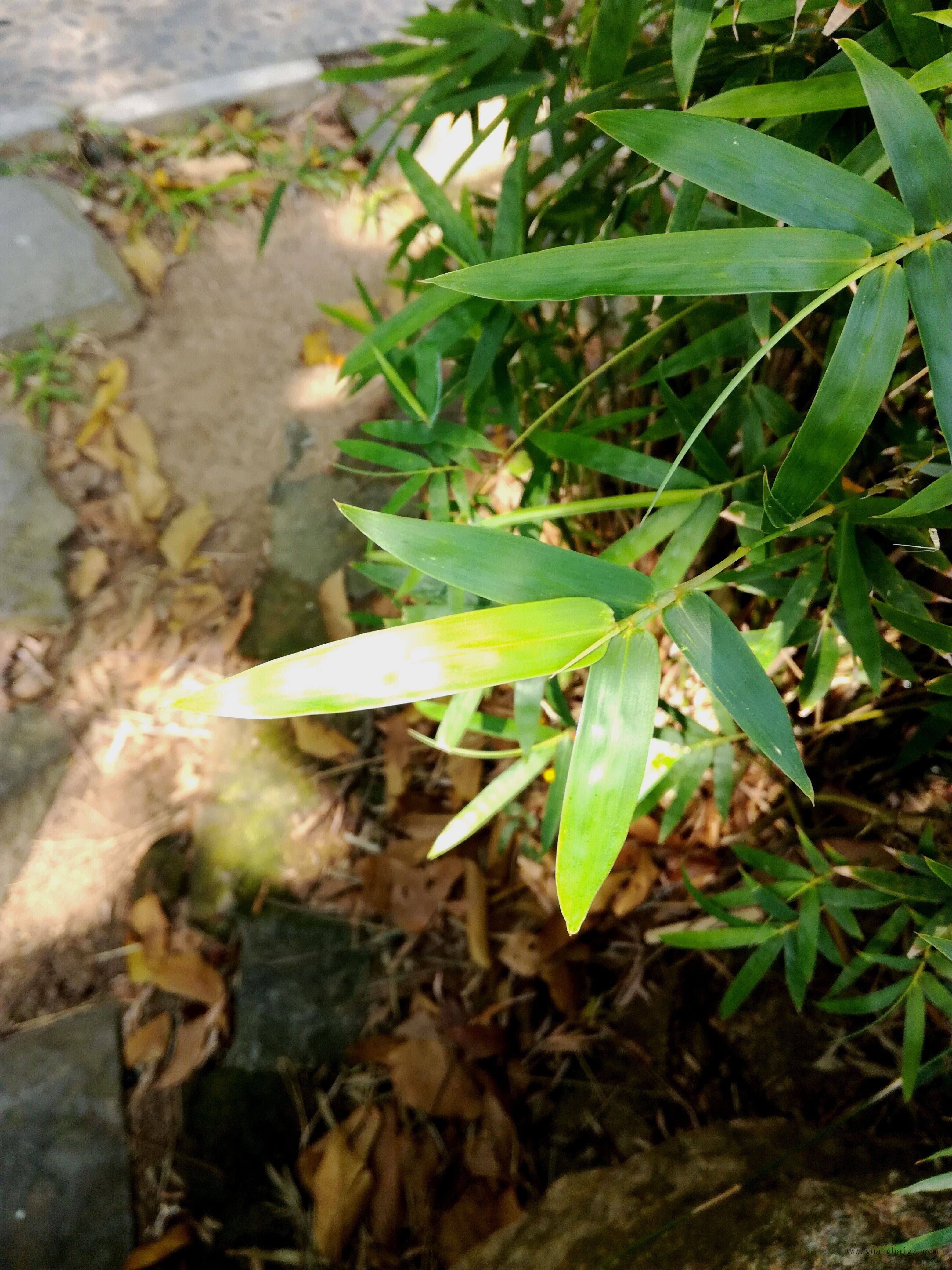 402cc永利集团(CHINA)官方网站-首页|NO1